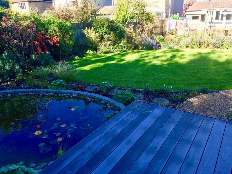 Pond view